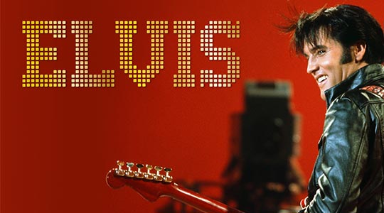 The Ultimate Elvis Party